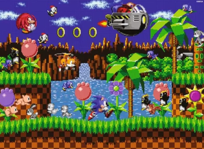 Ežiukas Sonic dėlionė 500 dalių
