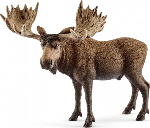 Schleich Wild Life briedis