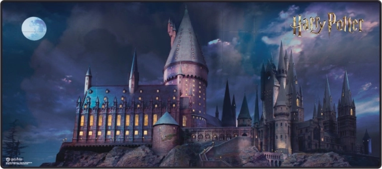 Žaidimų kilimėlis HARRY POTTER 90 × 40 cm
