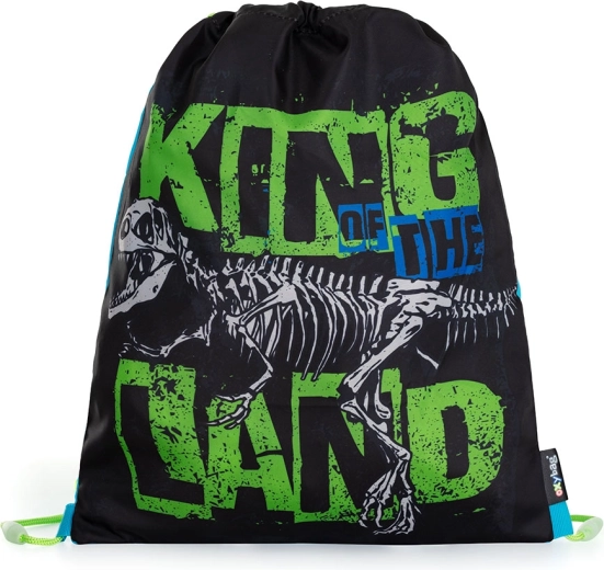 Premium Gym Bag Dinosaur