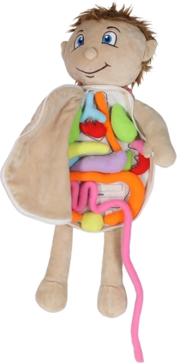 Išimami minkšti organai su lipniosiomis juostelėmis