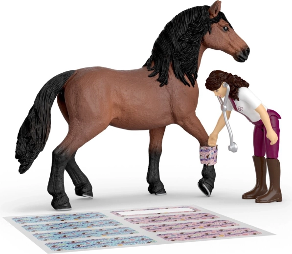 Rich accessories for treatment and the vet role