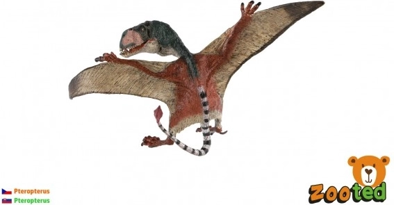 Skraidančio pterozaurio modelis