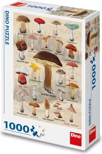 Dino dėlionė „Grybų koliažas“ 1000 dalių