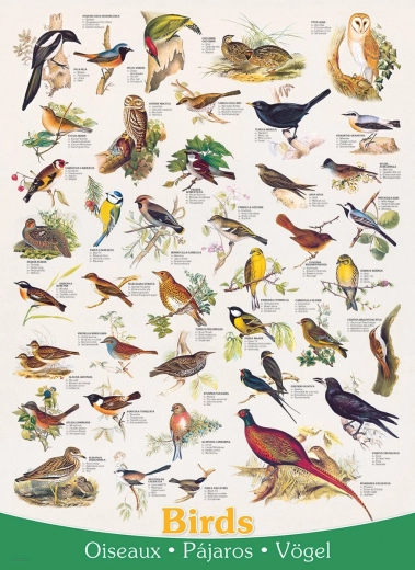 Puzzle Birds 1000 Pieces