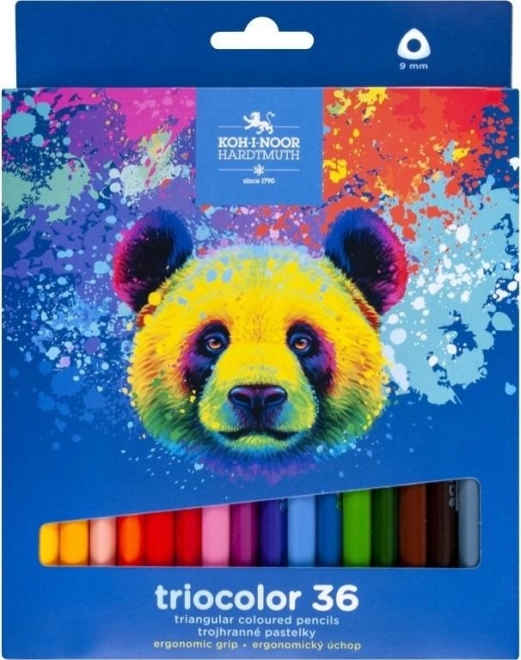 Trišoniai spalvoti pieštukai Triocolor 36 vnt. MEŠKUTIS KOH‑I‑NOOR