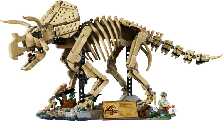 Judantis triceratopso skeletas