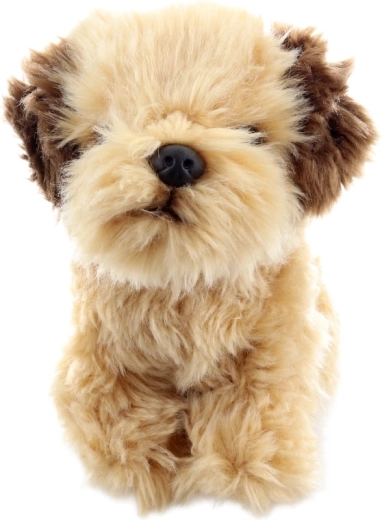 Saugus žaidimas nuo pat gimimo