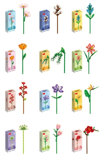 Florist spalvingos vasaros ir laukų gėlės (12 rūšių)
