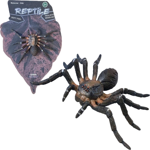 Gyva gamta: Wolf Spider – tikroviškas voro modelis (12 cm)