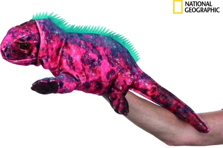 National Geographic iguanos lėlių pirštininė 23 cm