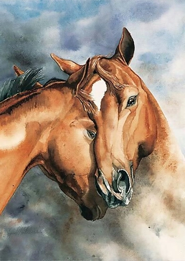 Norimpex Paint by Numbers Horses 40 × 50 cm