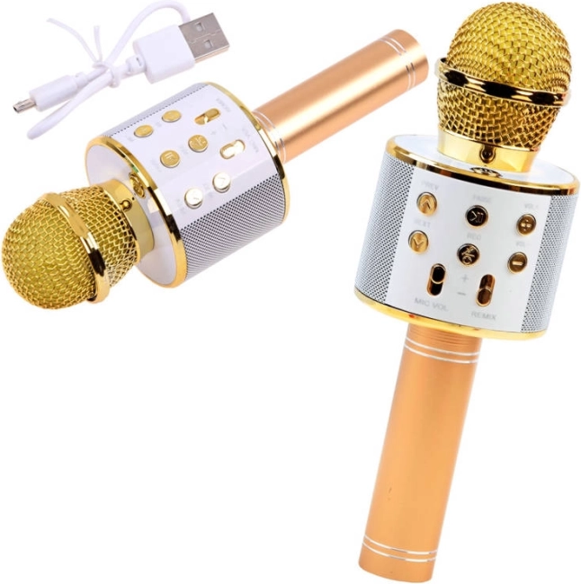 Izoxis karaoke microphone with speaker - 1 piece – Gold