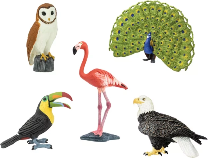 Safari Ltd. paukščių figūrėlės – 1 vnt.