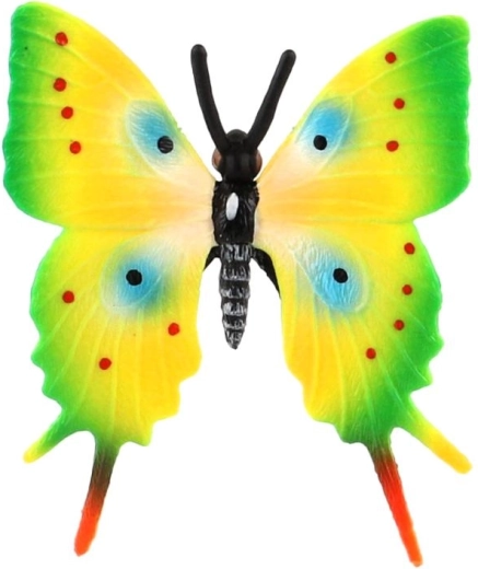 Distinctively colored wings