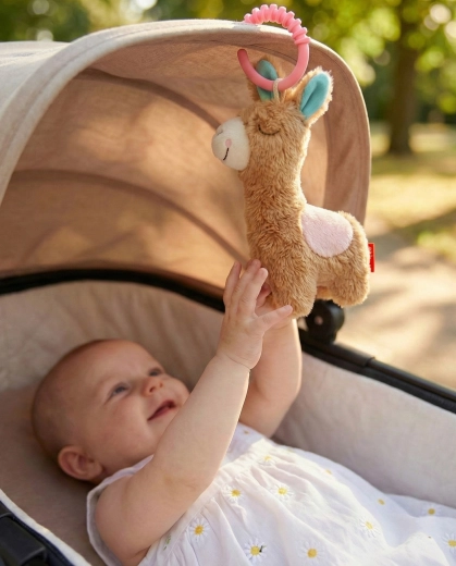 Loop for attaching to stroller or crib