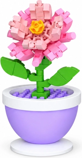 Pink carnation as a decoration