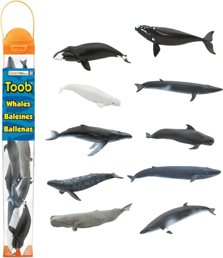 Safari Ltd. Toobs tūbelė „Banginiai“ (10 figūrėlių)