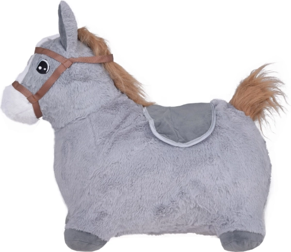 Stabilūs laikikliai ir cypliukas