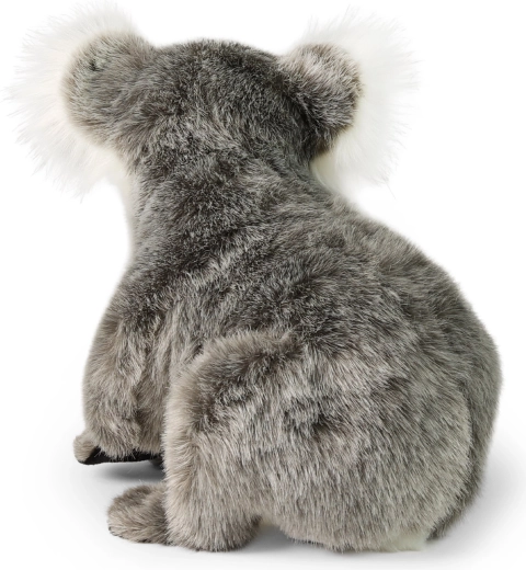 Realistic koala design