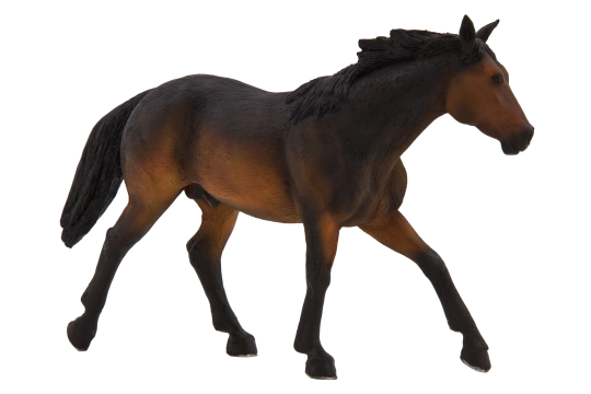 Mojo Quarter Horse figūrėlė, bėras, itin didelė