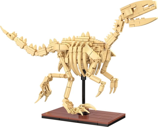 Šviečiantys skeletai ir ekspozicinis pateikimas