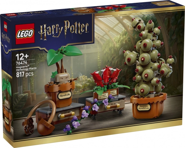LEGO Harry Potter augalai iš Hogvartso žolininkystės pamokos