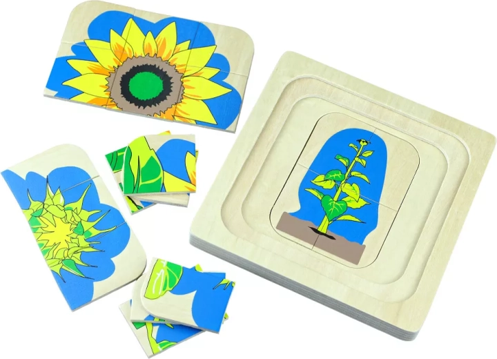 Multi-Layer Wooden Flower Life Cycle Puzzle