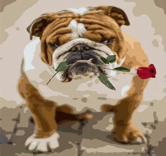 Norimpex Paint by Numbers Bulldog with a Rose 40 × 50 cm