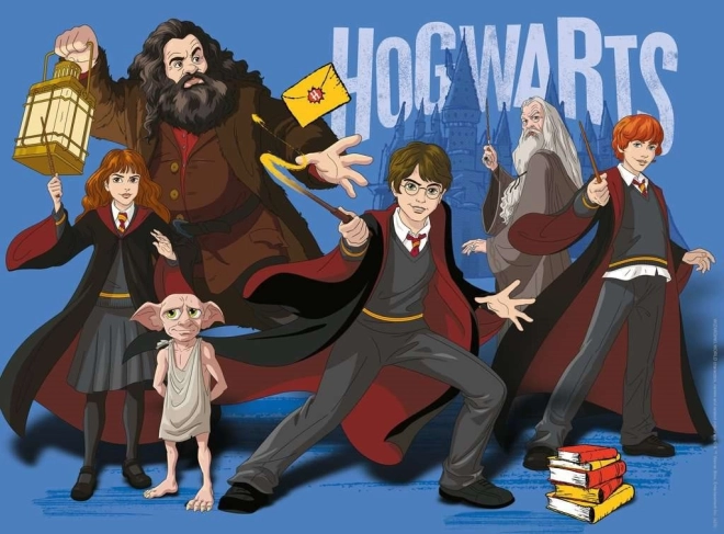 Dėlionė Harry Potter ir burtininkai – 300 detalių