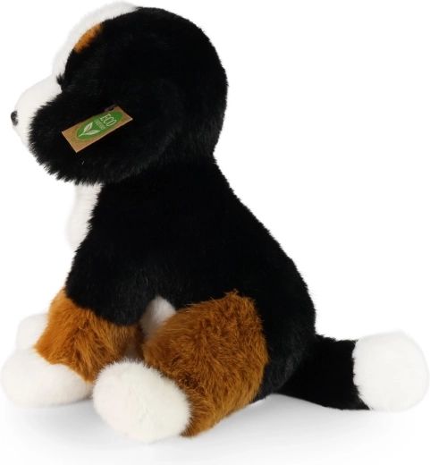 Faithful Bernese Mountain Dog design