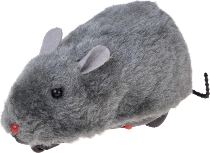 Soft appearance of the little mouse