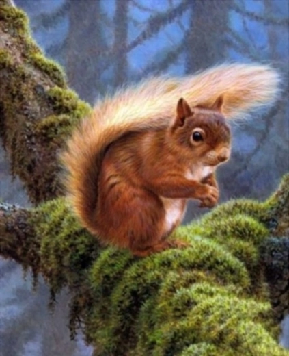 Diamond Painting – Squirrel on a Branch 30 × 40 cm