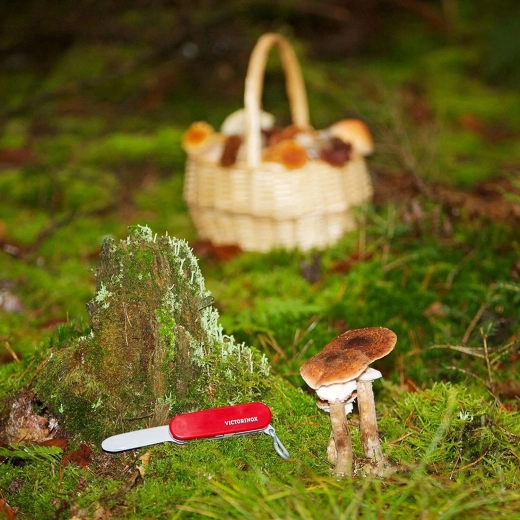 Licencijuotas VICTORINOX dizainas