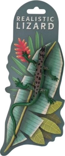 Gyvūnai – spalvą keičiantis chameleonas