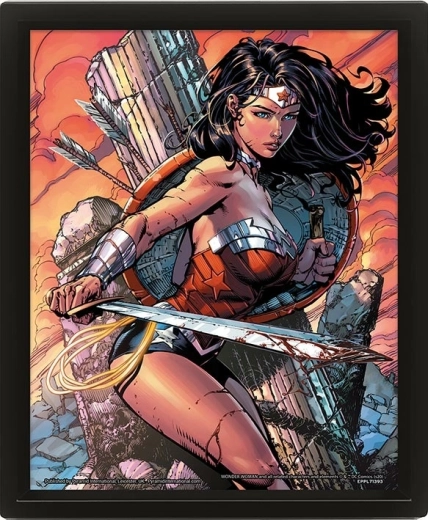 3D paveikslas WONDER WOMAN Battle