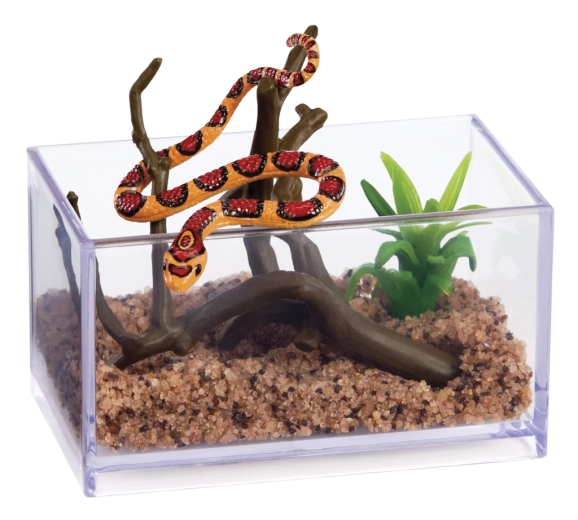 Mini terrarium with realistic details