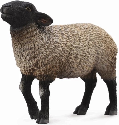 Collecta Suffolk avių plastikinė figūrėlė