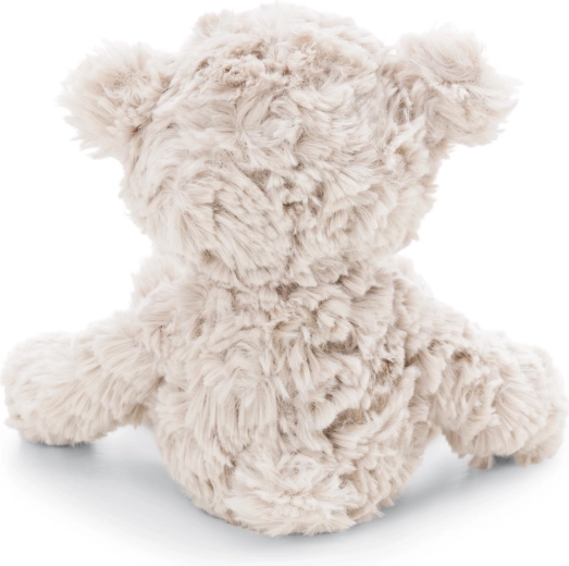 Cute appearance with long limbs