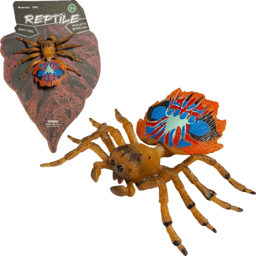 Gyvoji gamta: realistiškas povo voro (peacock spider) modelis 10 cm