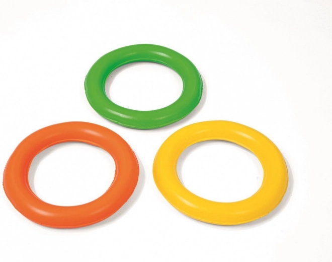 Žaidimų zona su žiedų mėtymu