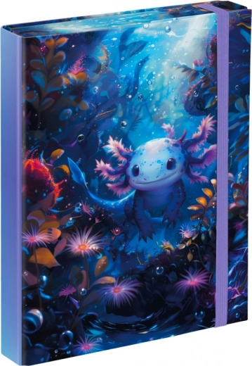 Folders for A5 School Notebooks with Axolotl Design