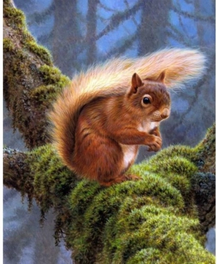 Deimantinis siuvinėjimas (diamond painting) voverė 30 × 40 cm – 1 vnt.