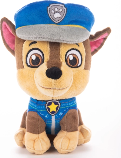 Mėgstamas PAW PATROL personažas