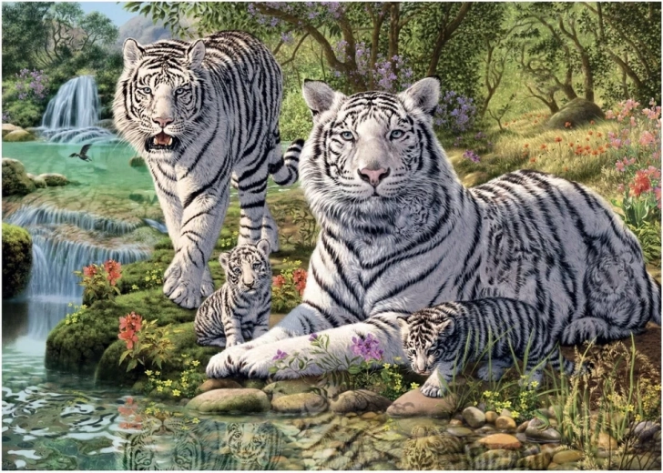 Baltieji tigrai – 1000 dalių dėlionė (Dino „Slaptoji kolekcija“ )