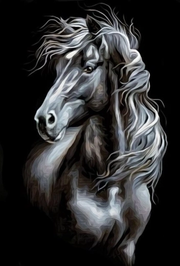 Diamond painting black and white horse 30 × 40 cm