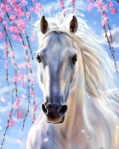Norimpex Paint by Numbers White Horse Under Pink Branches 40 × 50 cm