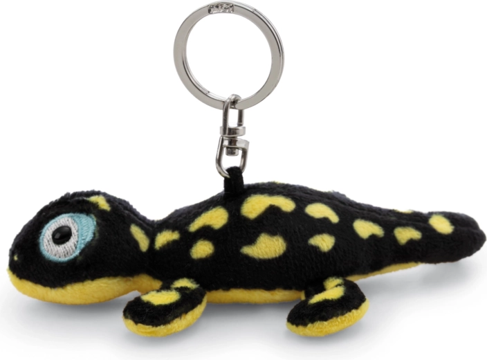 Secure attachment to keys and bag