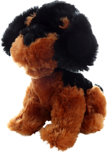Idealus 30 cm dydis