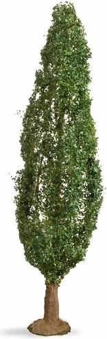 Noch poplar (Master Tree) 18 cm